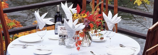 Napkins & Tablecloths